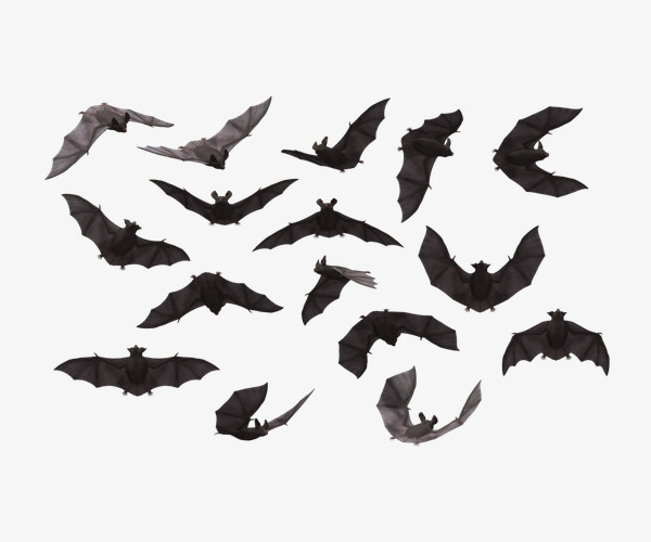 Large of flying flight. Bats clipart group
