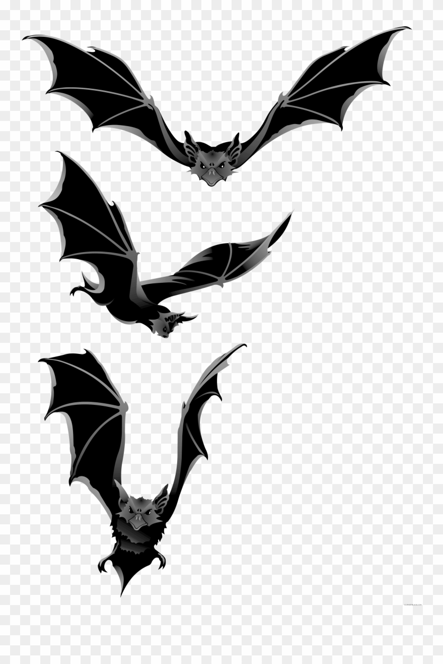 Bat animal free black. Bats clipart haloween