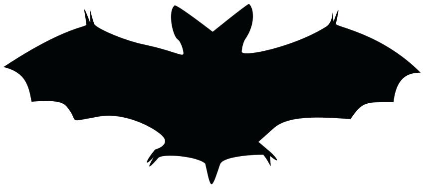 Bats clipart outline. For a bat clipground