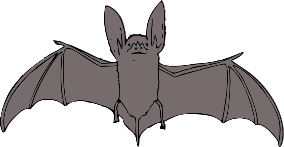 Clip art image bat. Bats clipart public domain