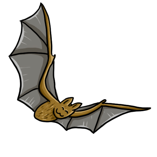 Bat clip art for. Bats clipart teacher
