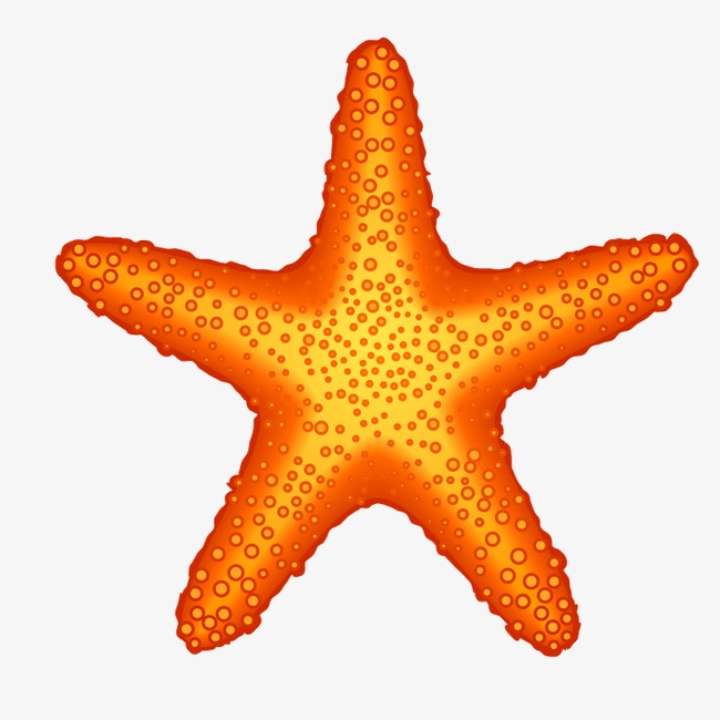Seaside sandy star png. Beach clipart starfish