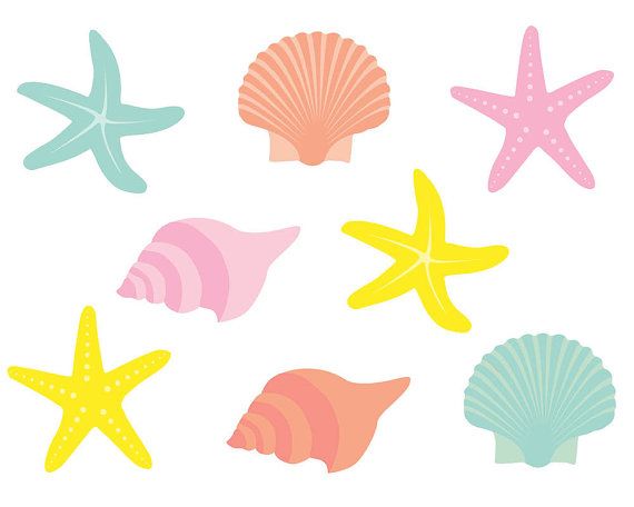 Starfish clipart beach item. Clip art shells by