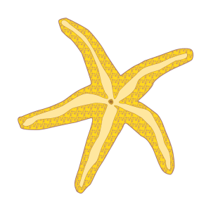 Beach clipart starfish. On 