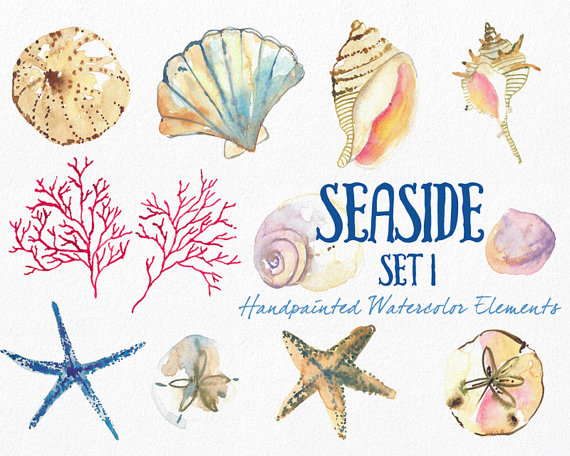 Beach clipart watercolor. Sea shells instant digital