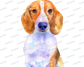Watercolor etsy clip art. Beagle clipart beagle puppy