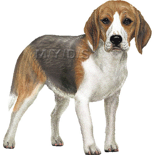 Beagle clipart beagle puppy. Cliparts suggest vectors