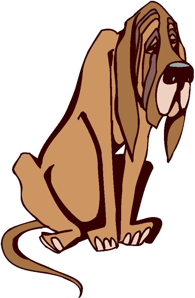 Beagle clipart bloodhound. Dog graphics dogs how