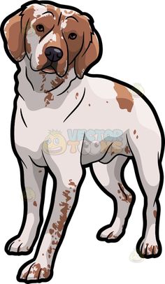 Beagle clipart brittany spaniel. Original art dog illustration