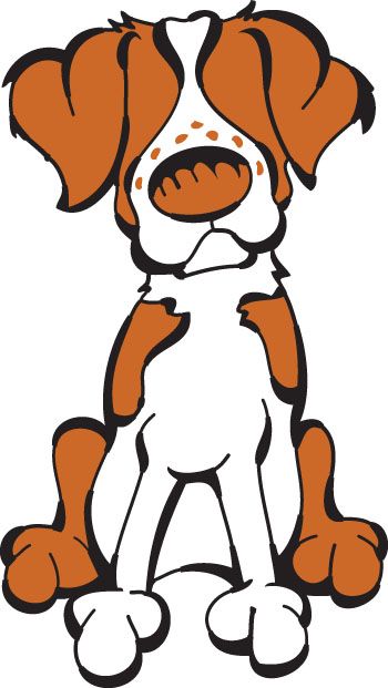 Beagle clipart brittany spaniel. Color best in show