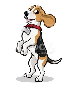 Dog standing on hind. Beagle clipart cartoon