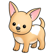 chihuahua clipart transparent