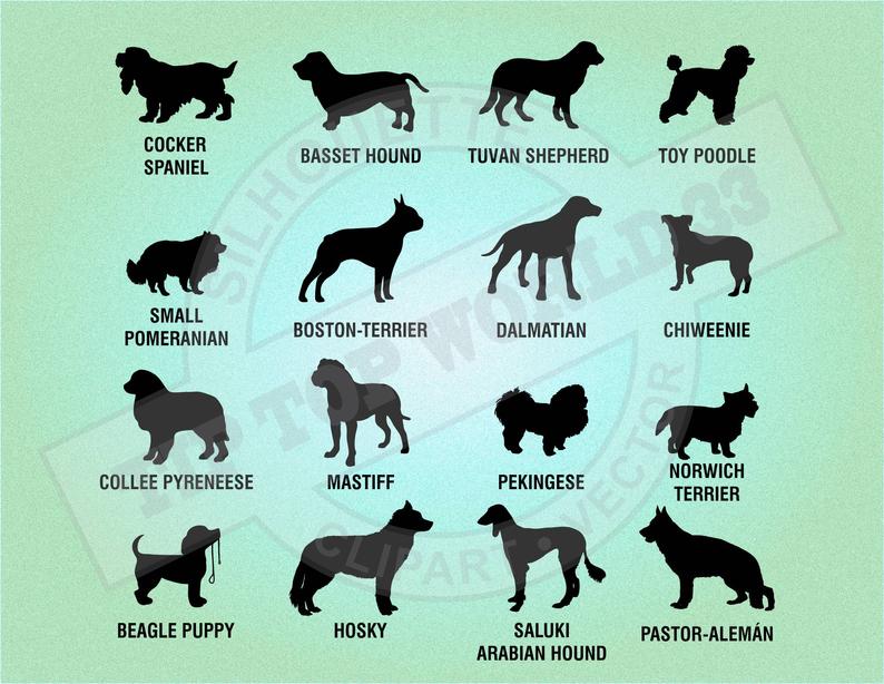 Dog silhouette svg dogs. Beagle clipart chiweenie