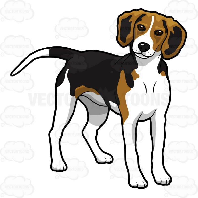 Beagle clipart face. Head silhouette at getdrawings