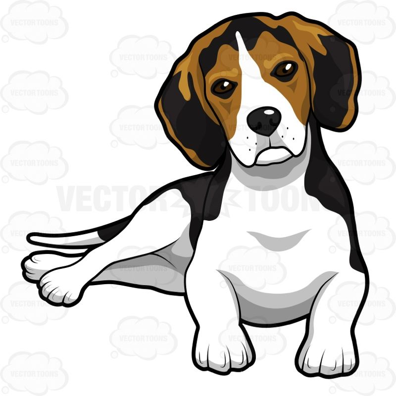 Beagle clipart hound dog. Cartoon by timmcfarlin on
