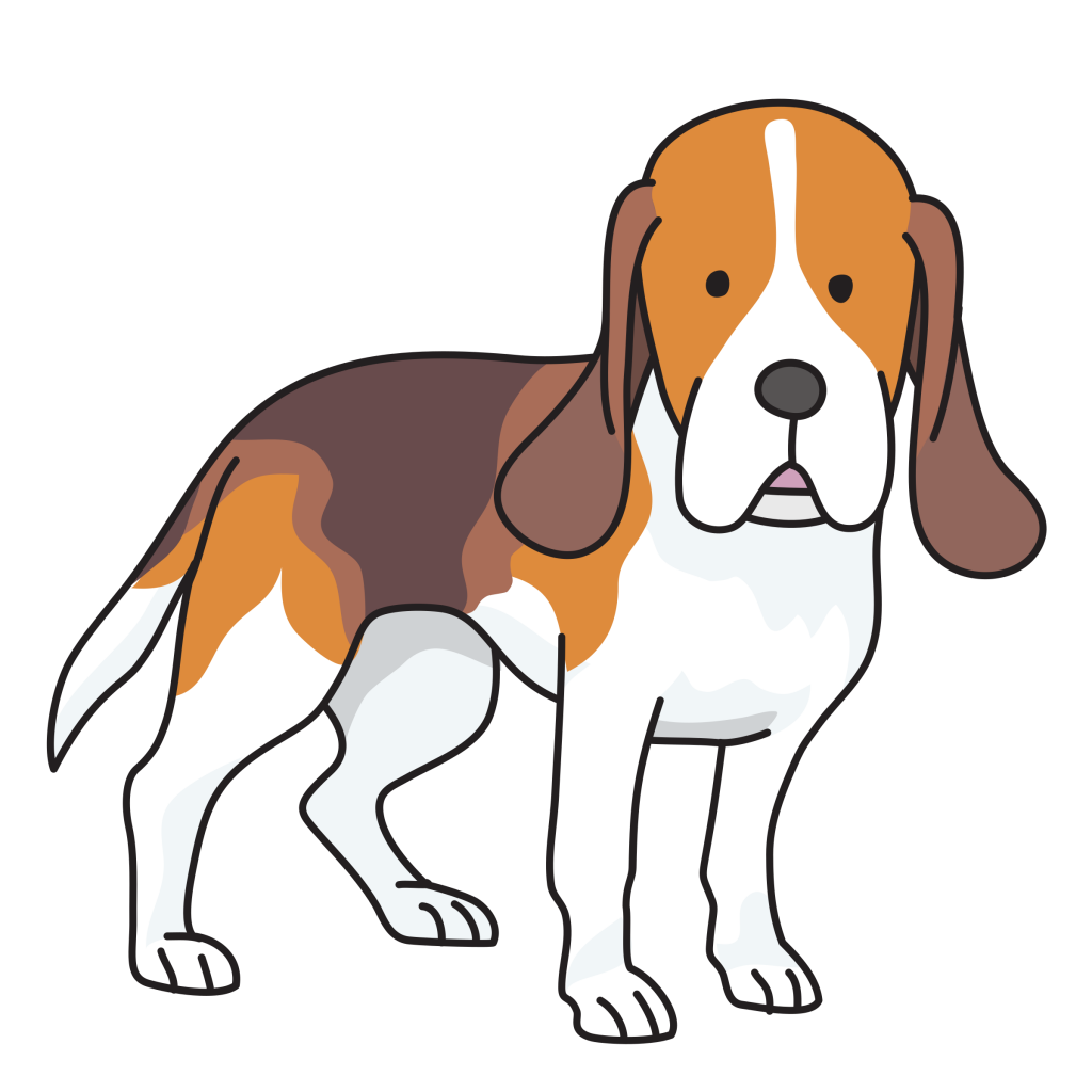 Puppy basset foxhound clip. Beagle clipart hound dog