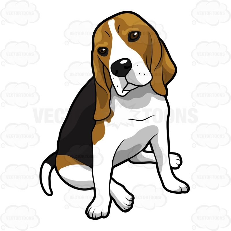 Pin by shari . Beagle clipart hound dog