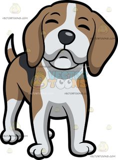 Beagle one dog