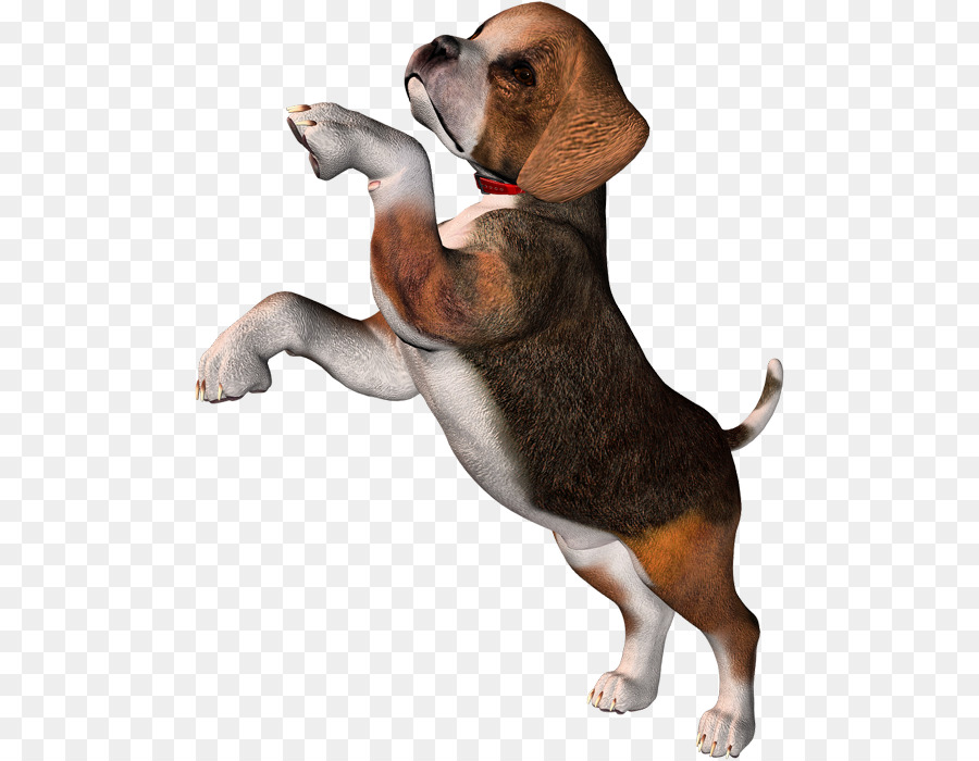 Pocket puppy clip art. Beagle clipart puppyclip
