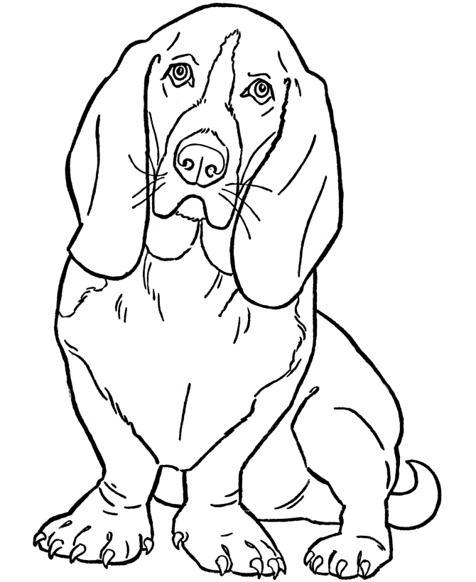 Beagle clipart realistic. Line drawing at getdrawings