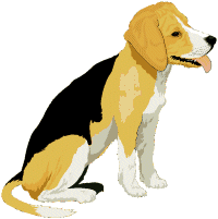 Beagle clipart transparent background.  beagles animated images