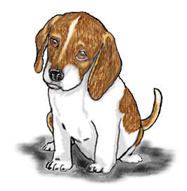 Puppy cliparts suggest vectors. Beagle clipart vector