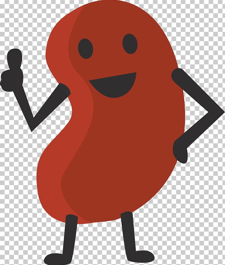 Bean clipart animated. Kidney cartoon png animation