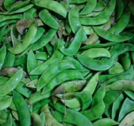 Bean clipart bataw. Hyacinth beans it s