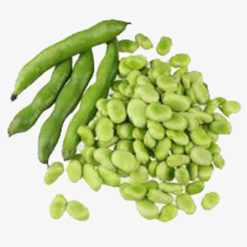 Beans clipart fava bean. Green full broad png