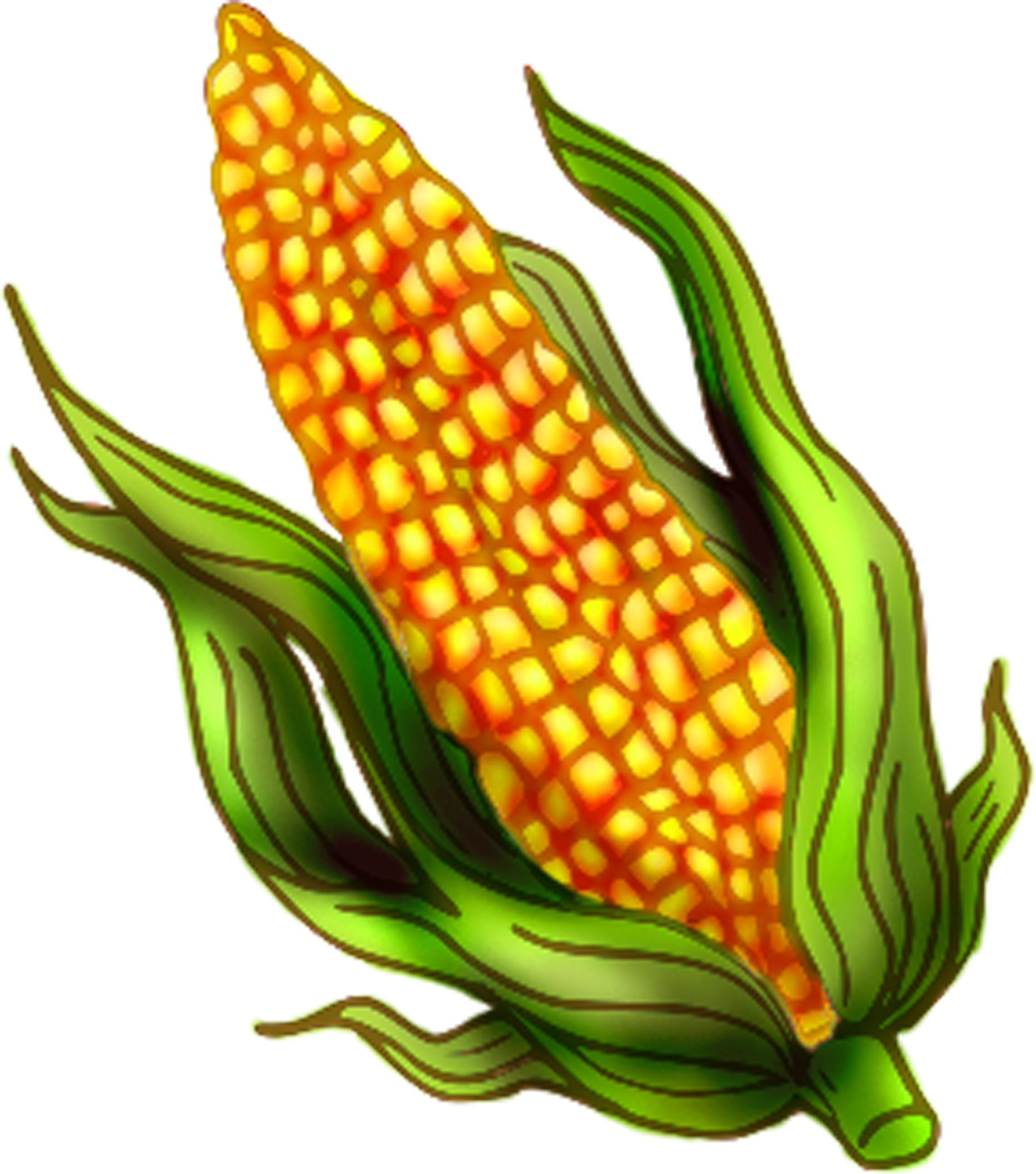 Baked picture gallery image. Beans clipart corn