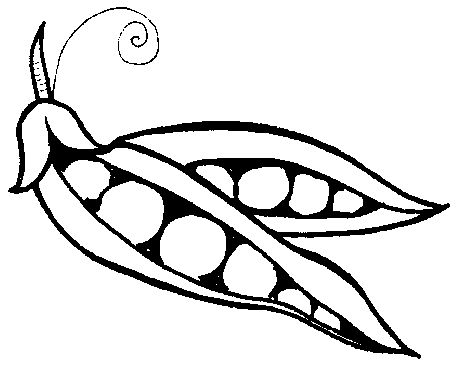  best for the. Bean clipart drawing