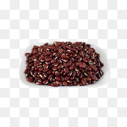 Kidney png vectors psd. Bean clipart dried bean