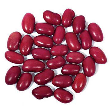 Kidney clip art library. Beans clipart dry bean