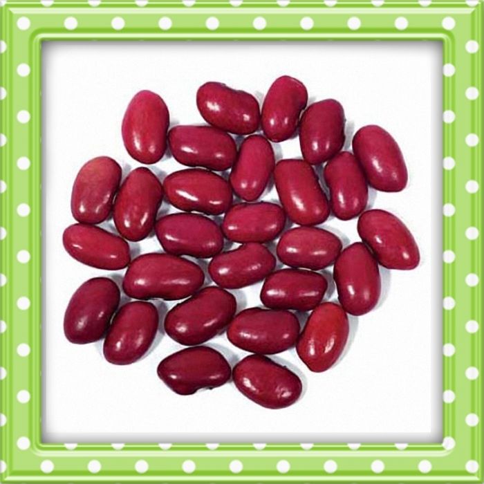 Bean clipart dry bean.  best fruits and