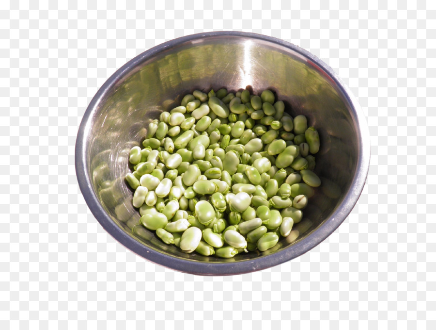 Bean clipart fava bean. Broad legumes black beans