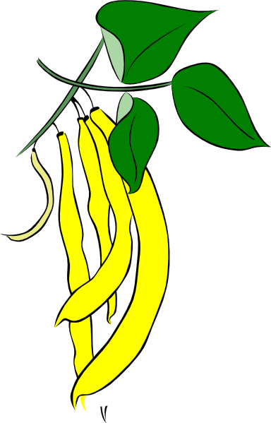 Yellow clip art at. Beans clipart french bean