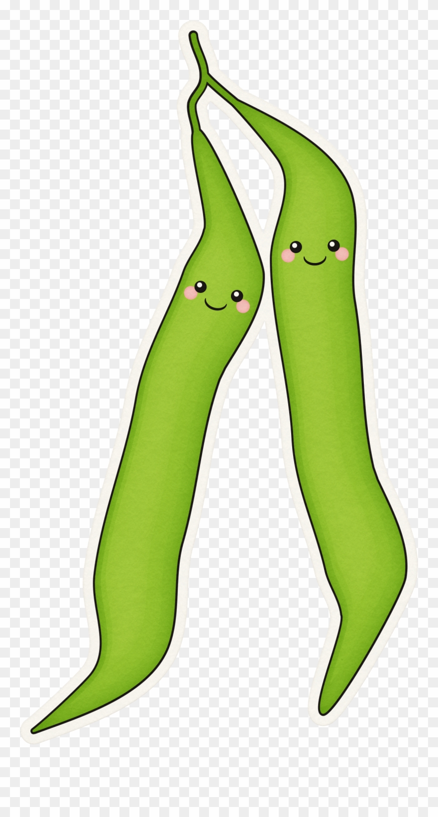 Cute green png download. Beans clipart string bean