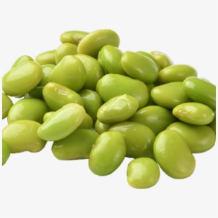 Free bean cliparts silhouettes. Beans clipart implication