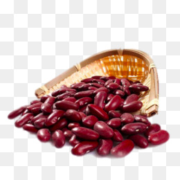 Png images vectors and. Bean clipart kidney bean