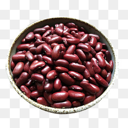 bean clipart kidney bean