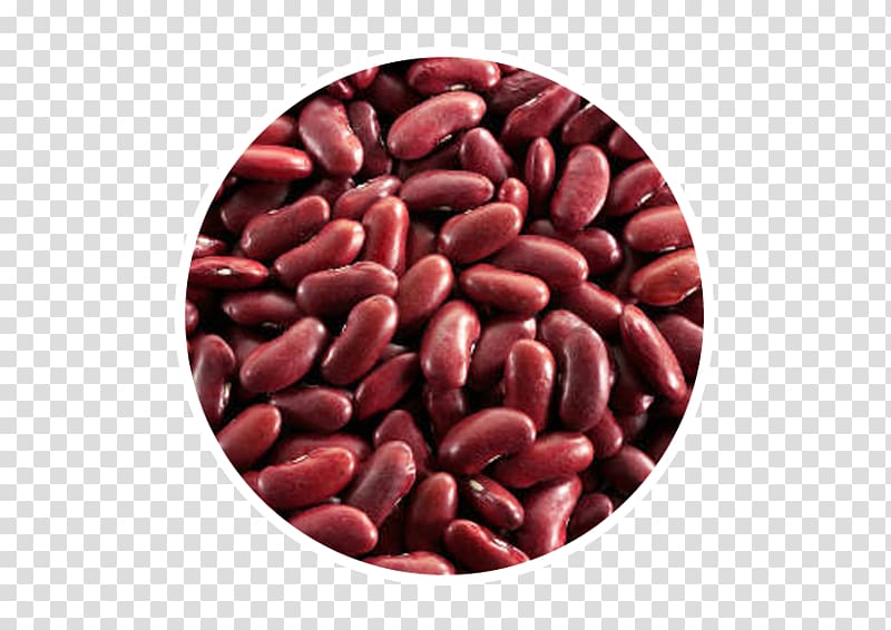 Beans transparent background png. Bean clipart kidney bean