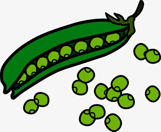 Green beans food png. Bean clipart pea
