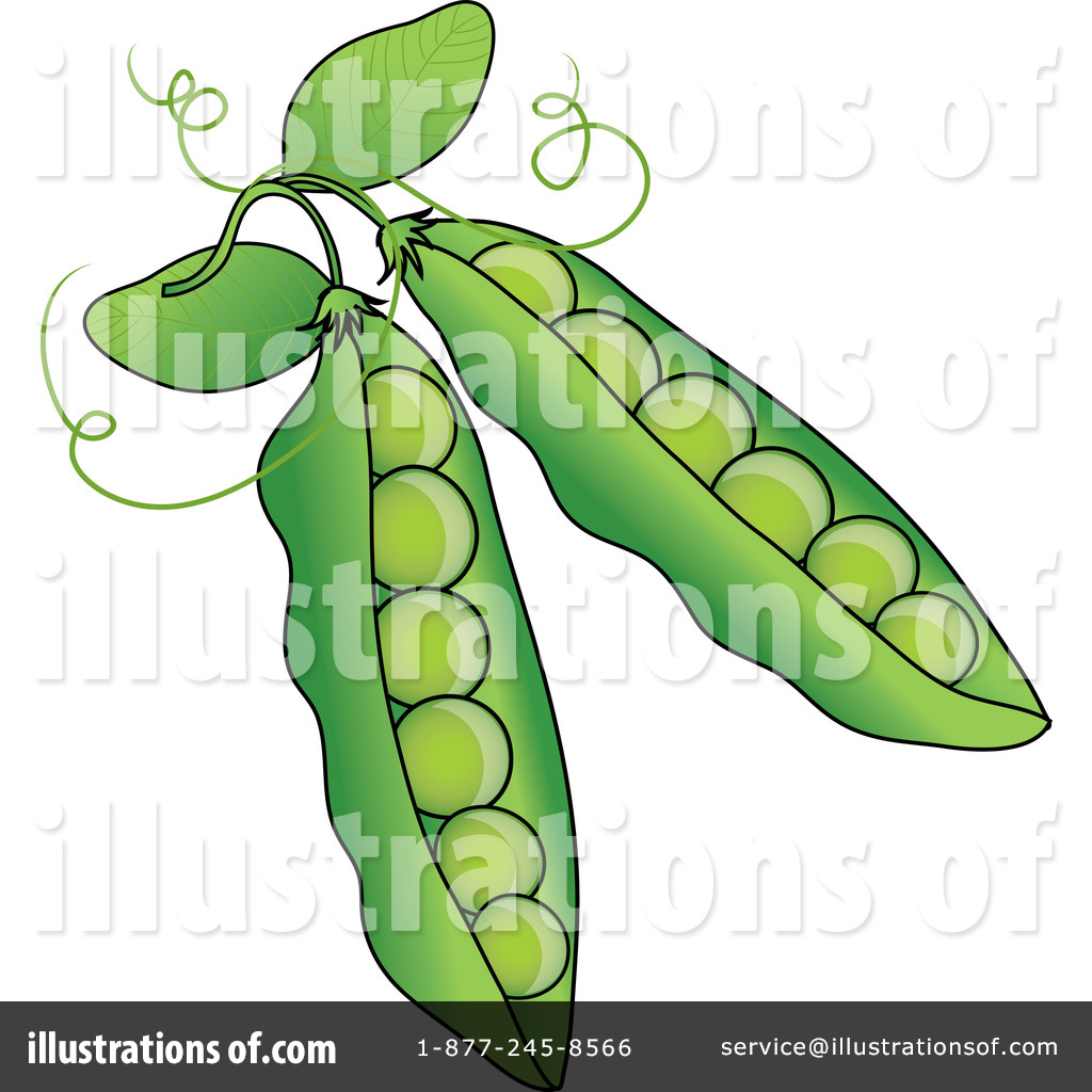 Peas illustration by pams. Bean clipart pea