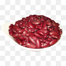 Bean clipart pinto bean. Overhead plate of beans