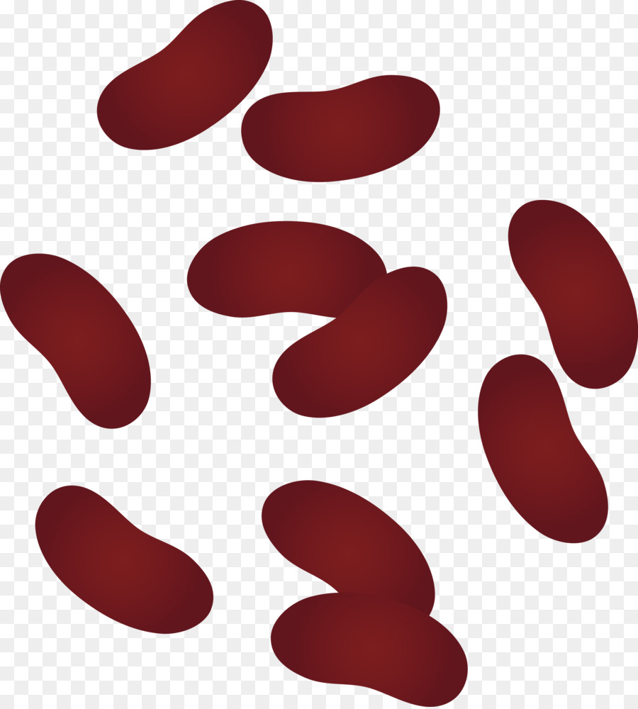 Beans clipart pinto bean. Rice and red black