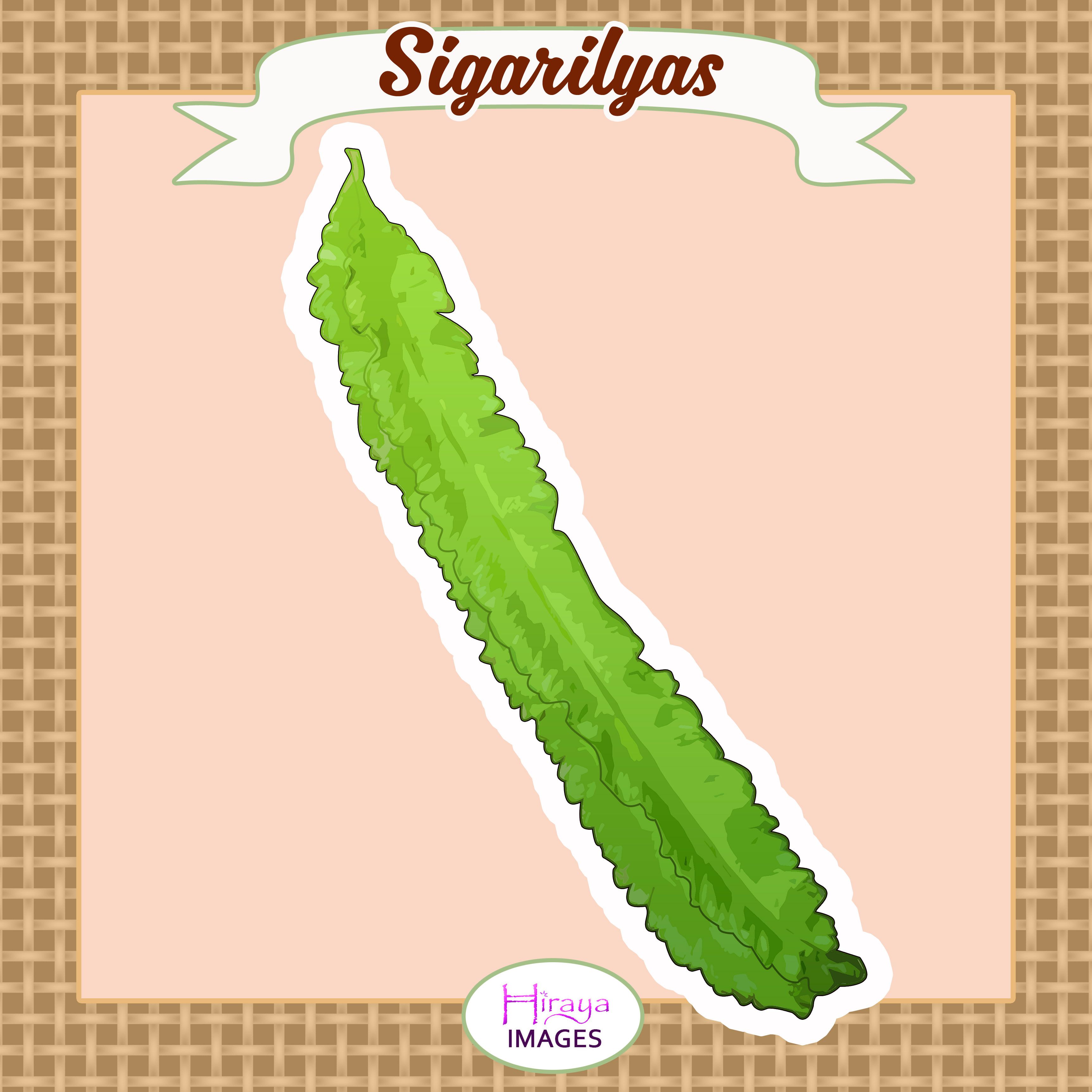 Or sigarilyas digital illustration. Bean clipart winged bean