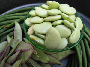 Market manila sitaw at. Beans clipart bataw
