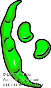 Beans clipart bean pod. Stock photography acclaim images
