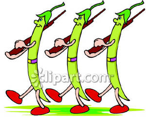 Green royalty free picture. Beans clipart cartoon