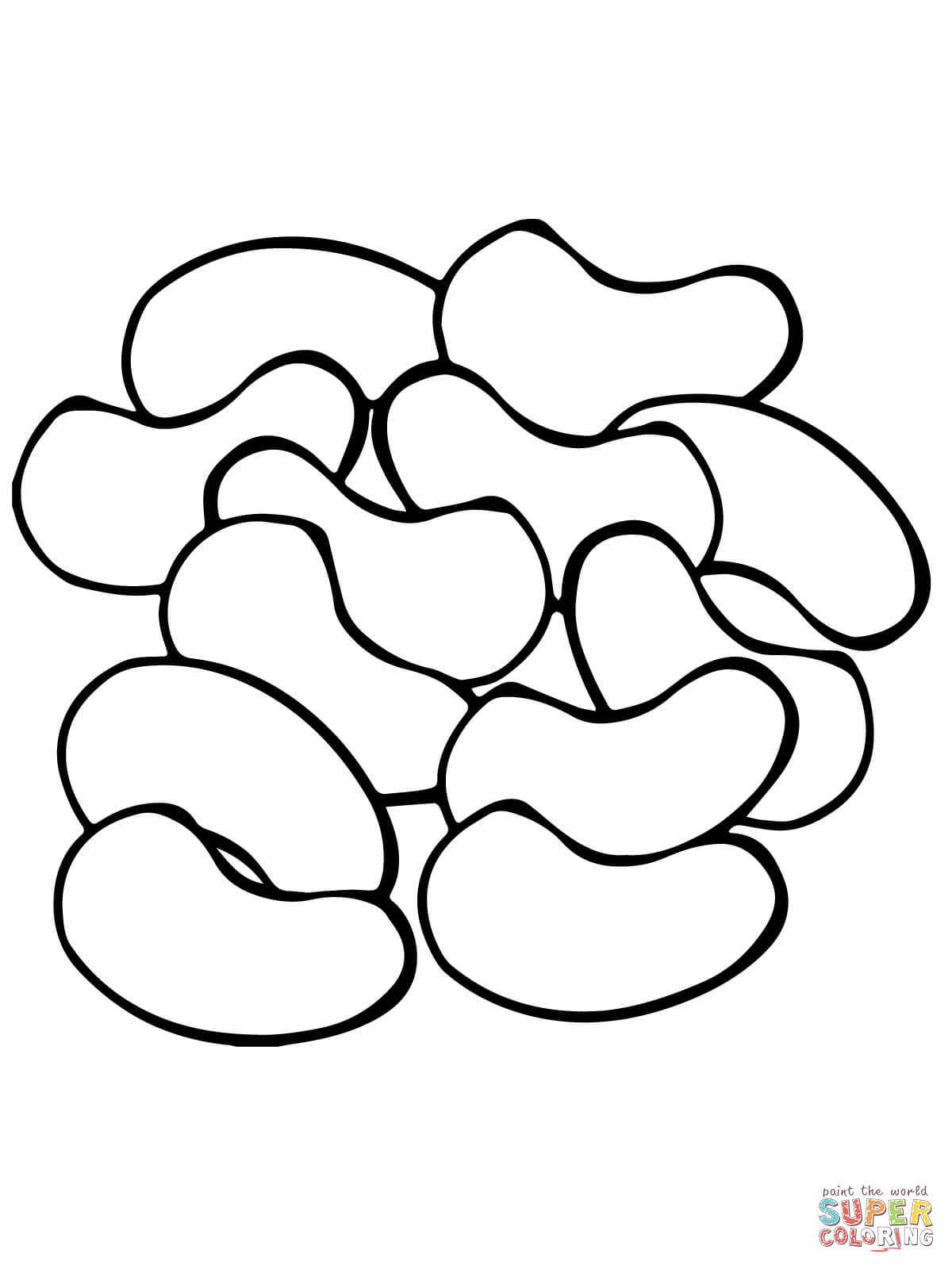 Beans clipart drawing. Kidney coloring page free